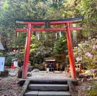 祈求幸運和姻緣的神社 - 二荒山神社