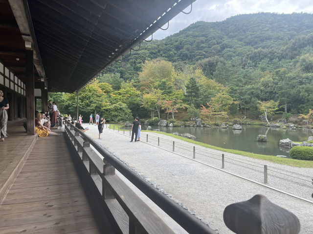 天龍寺｜進門可見👀趣味達摩畫像的禪寺