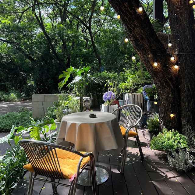 So Into cafe & eatery, เชียงใหม่ 🌸🌼🪻