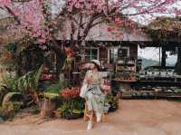 ที่พักขุนวางสีชมพูฟีลญี่ปุ่น 🌸💕🎏