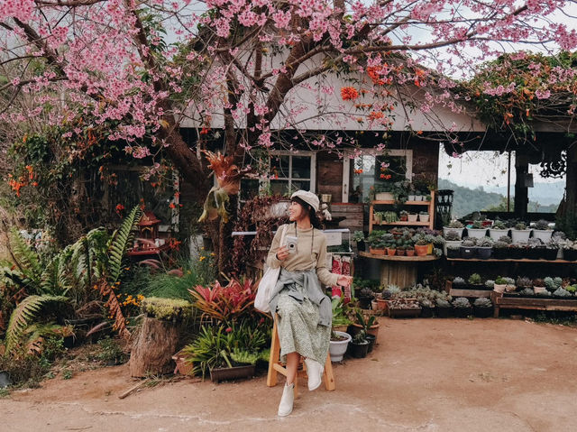 ที่พักขุนวางสีชมพูฟีลญี่ปุ่น 🌸💕🎏