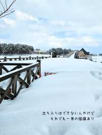 【青森／北津軽】日本一長い三連太鼓橋「鶴の舞橋」⁡