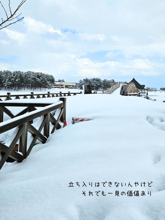 【青森／北津軽】日本一長い三連太鼓橋「鶴の舞橋」⁡
