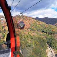 ☾︎神戸☽︎ ゴンドラから眺める景色が最高のハーブ園