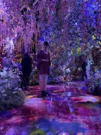 〜京都府京都市〜美しすぎる没入空間！蜷川実花展