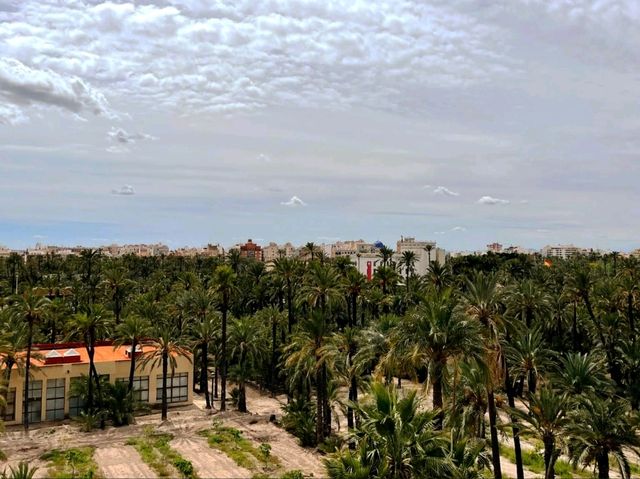 埃爾切的瓦伊洛塔 (Torre de Vaillo) 是您不容錯過的真正歷史寶藏