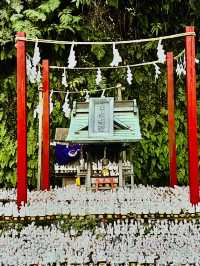 ⛩ 🦊✅佐助稲荷神社（鎌倉）攻略ガイド – 隠れたパワースポット！