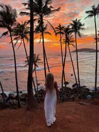 スリランカ🇱🇰息を呑む夕焼けcoconut tree hill