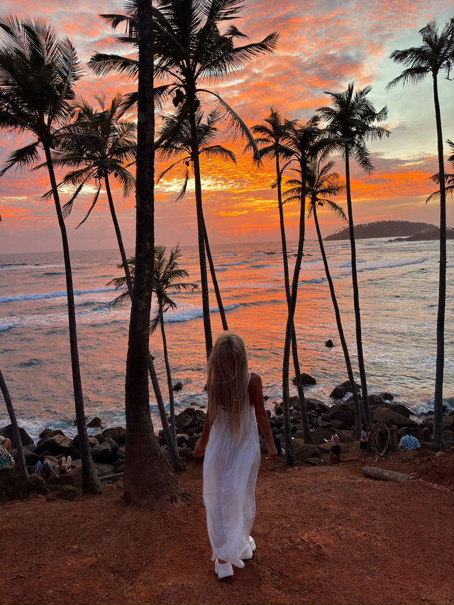 スリランカ🇱🇰息を呑む夕焼けcoconut tree hill