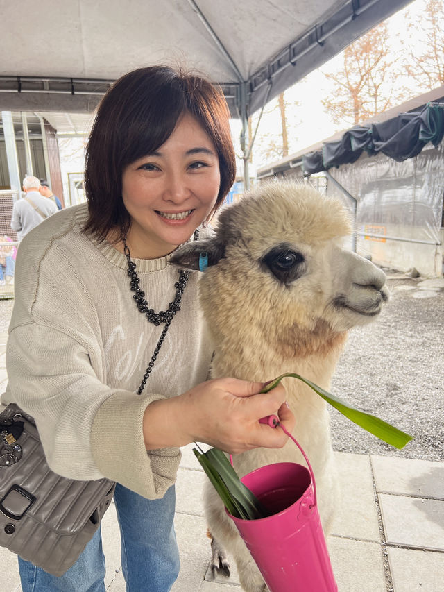宜蘭可愛動物園區！與家人開心的年前旅行❤️
