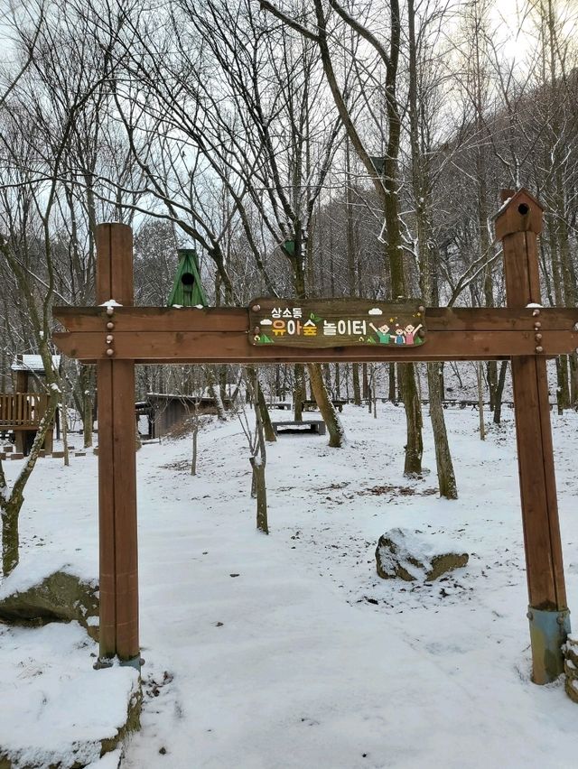 눈내리면 가야할 대전 겨울여행지