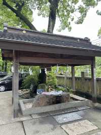 日本岡山-阿智神社：倉敷重要信仰，山上一飽倉敷市景