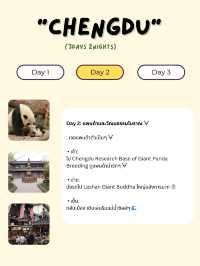 🇨🇳 3 Days 2 Nights in Chengdu