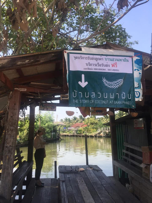 บ้านสวนพาฝัน The Story of Coconut at Baan Phaeo 