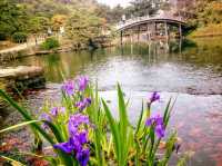 栗林公園-日本回遊式庭園代表，四國賞櫻好去處