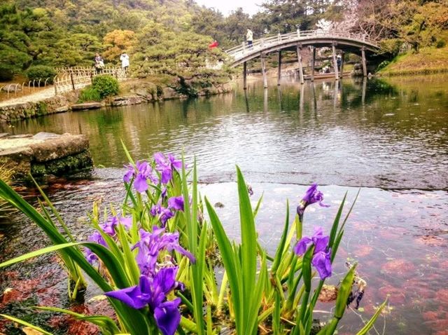 栗林公園-日本回遊式庭園代表，四國賞櫻好去處