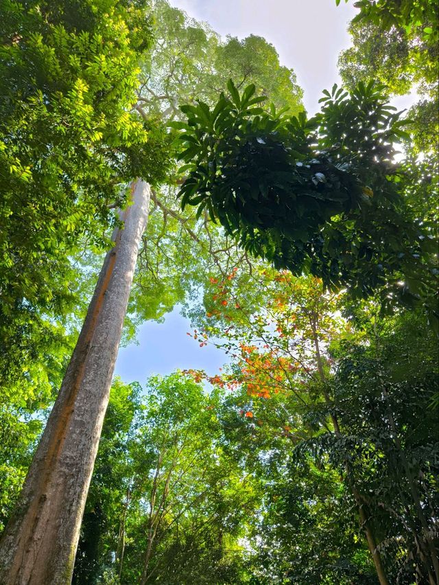 3D Garden in the city (nature, culture and food immersion)