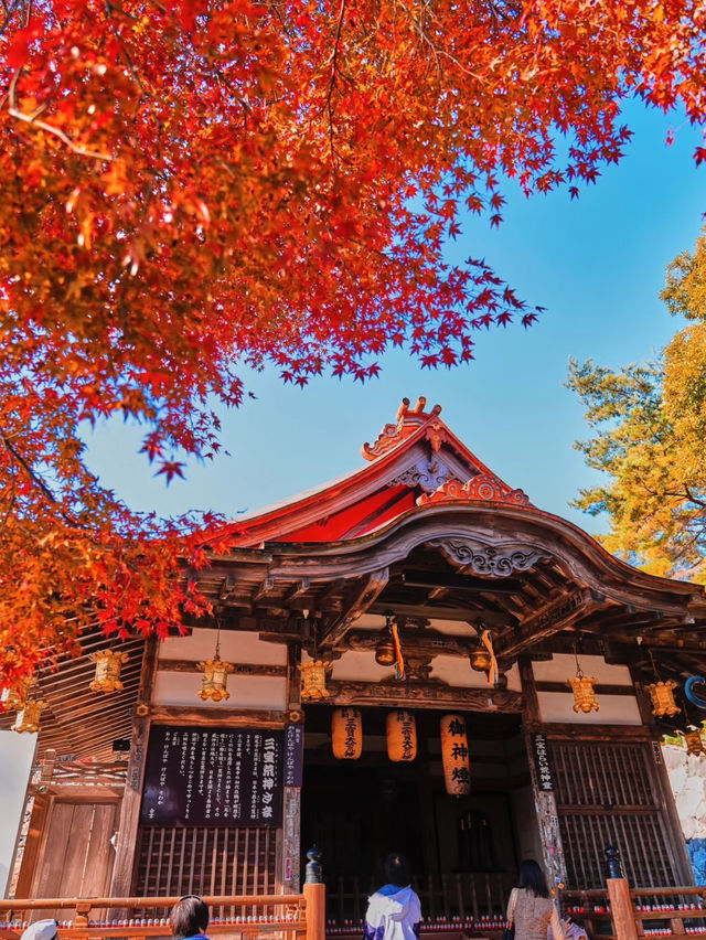 楓葉勝地勝尾寺❤️🔥大阪行程攻略🥰 楓葉勝地勝尾寺❤️🔥大阪行程攻略🥰