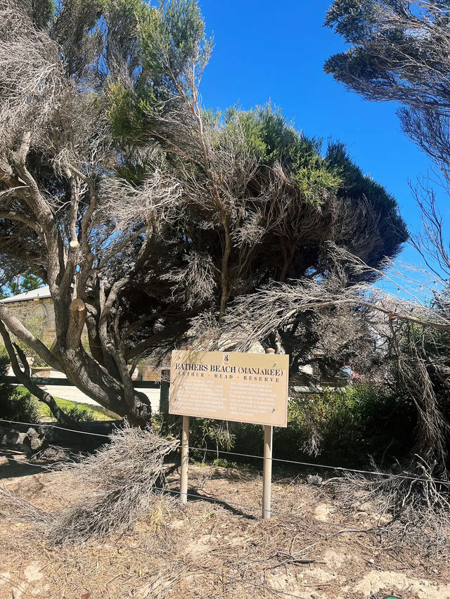 Bathers Beach