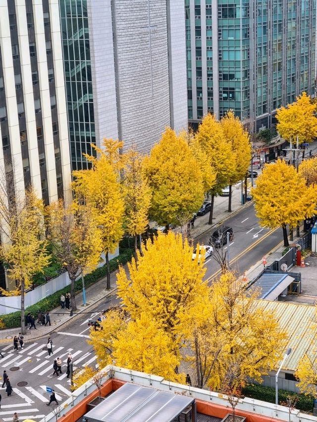 가을에 가장 아름다운 서울동네💛