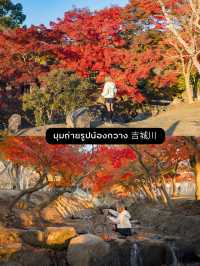 แจกแพลนเที่ยวเมือง Nara แบบ 1 day Trip 🦌