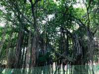 Tomb of Abdullah Qutb Shah – A Regal Resting Place