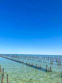 🚗 Epic South Australia Road Trip Adventure 🇦🇺