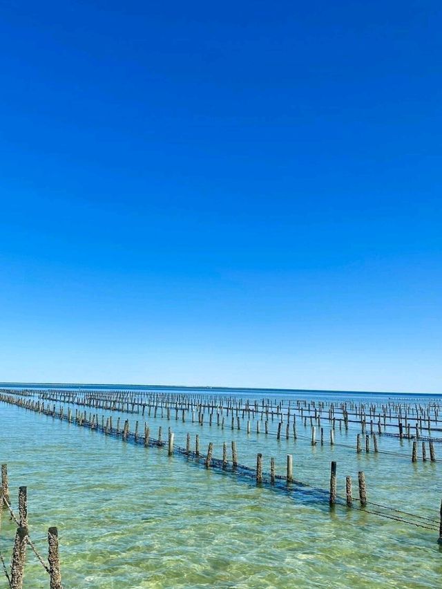 🚗 Epic South Australia Road Trip Adventure 🇦🇺