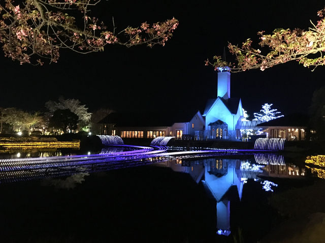 สวนดอกไม้ล้ำๆ และแสงสียามค่ำคืนอลังการ ใกล้นาโกย่า