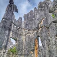 Shilin Stone Forest: Yunnan’s Breathtaking Natural Wonder