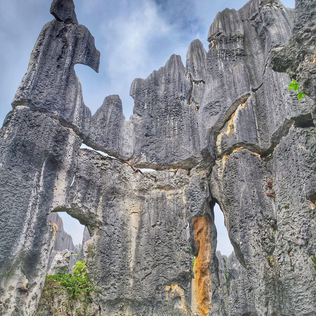 Shilin Stone Forest: Yunnan’s Breathtaking Natural Wonder