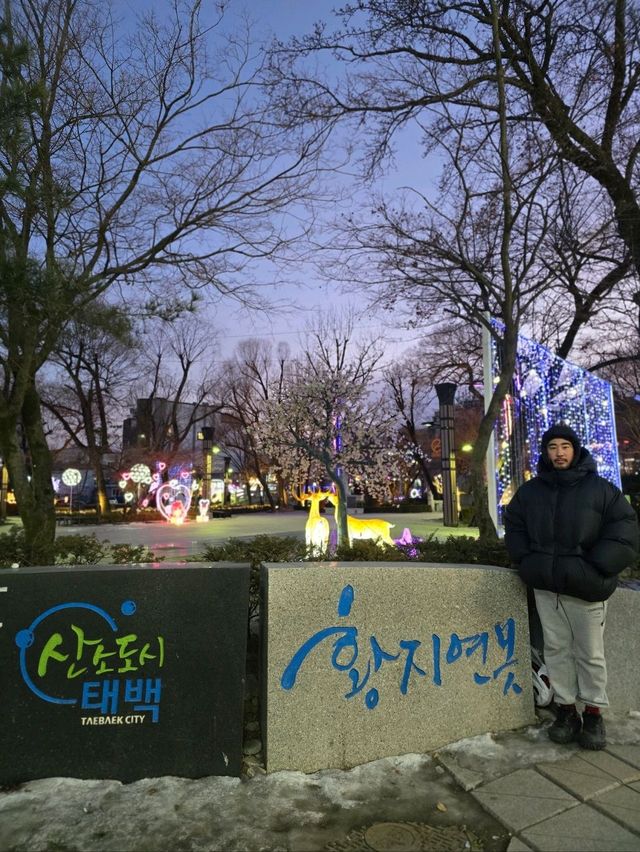 야경즐기기 좋은 태백여행지💙