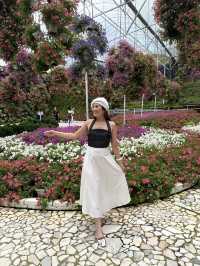 Best OOTD Spot at Cameron Highlands