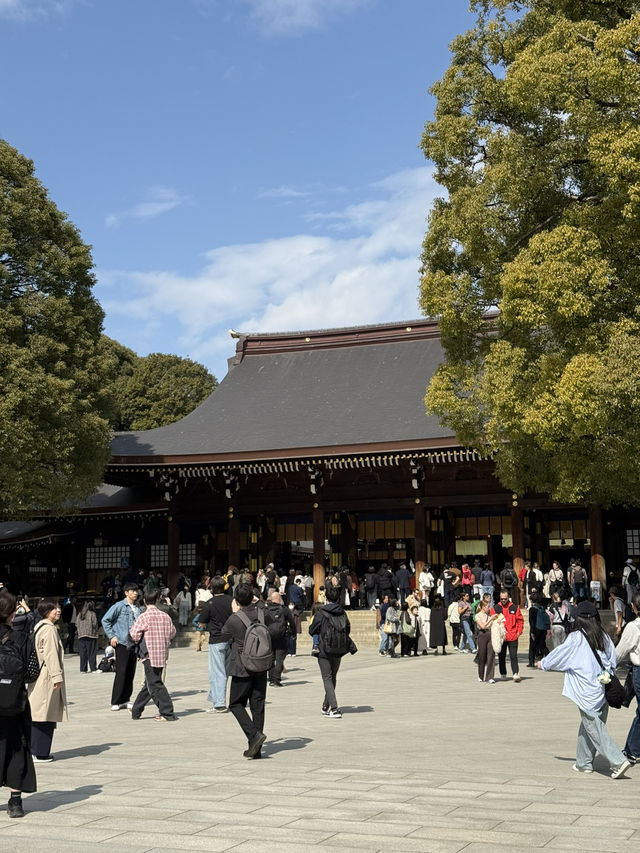 The Perfect Stroll: Meiji Jingu & Jingu Gaien