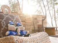 Mollusc Glamping ที่พักติดทะเล