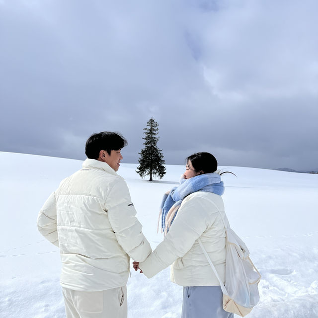삿포로에 가면 비에이는 꼭 가보세요 ✈️❄️