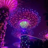 【新加坡旅遊】Supertree Grove🌳｜白天看感覺沒甚麼 晚上點燈卻超漂亮