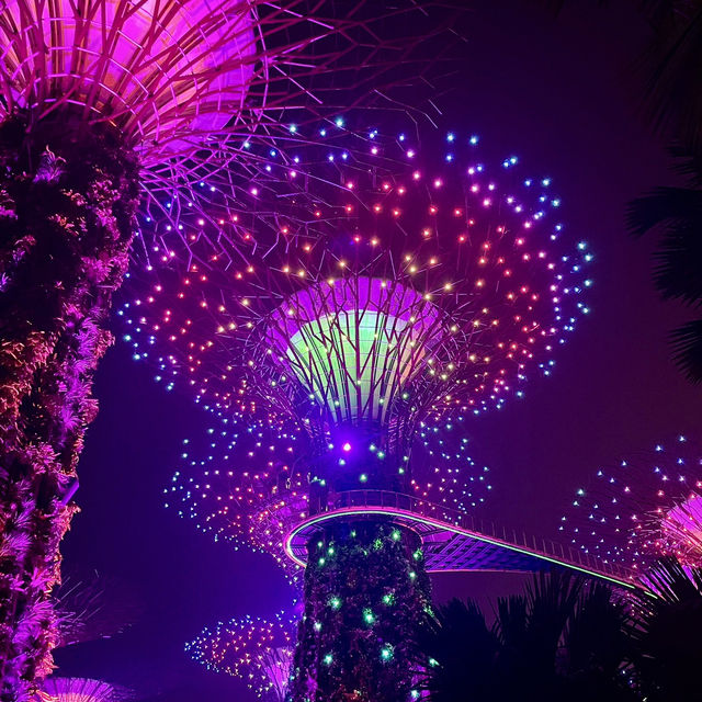 【新加坡旅遊】Supertree Grove🌳｜白天看感覺沒甚麼 晚上點燈卻超漂亮