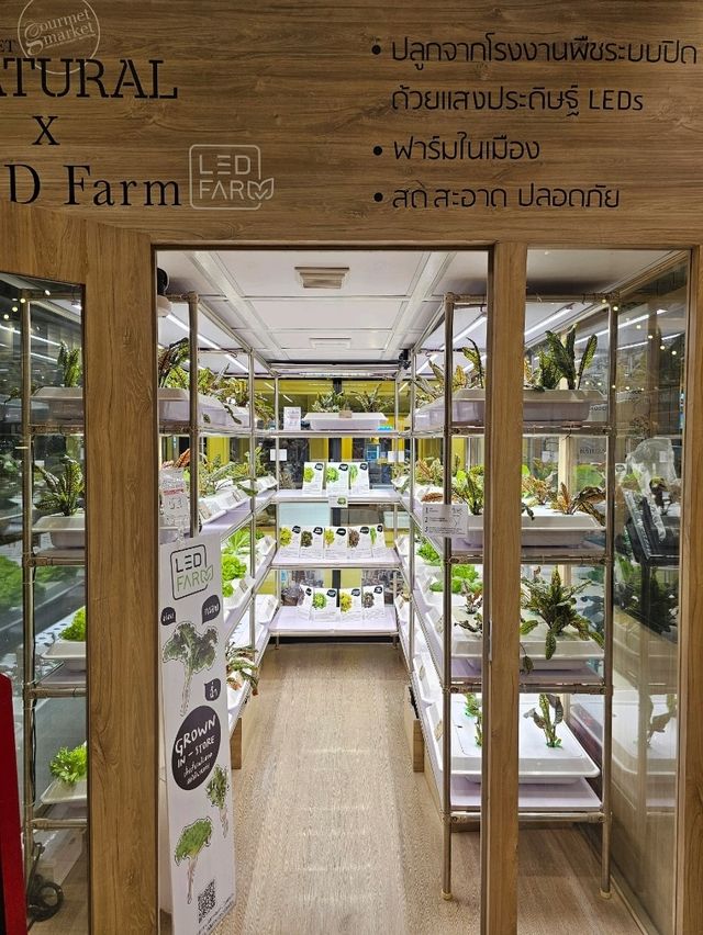 ร้านผักออแกนิค  กูเม เนเชอรัล