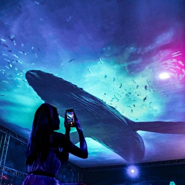 EXPERIENCE LIFE BENEATH THE WAVES IN THIS YEAR’S I LIGHT FESTIVAL