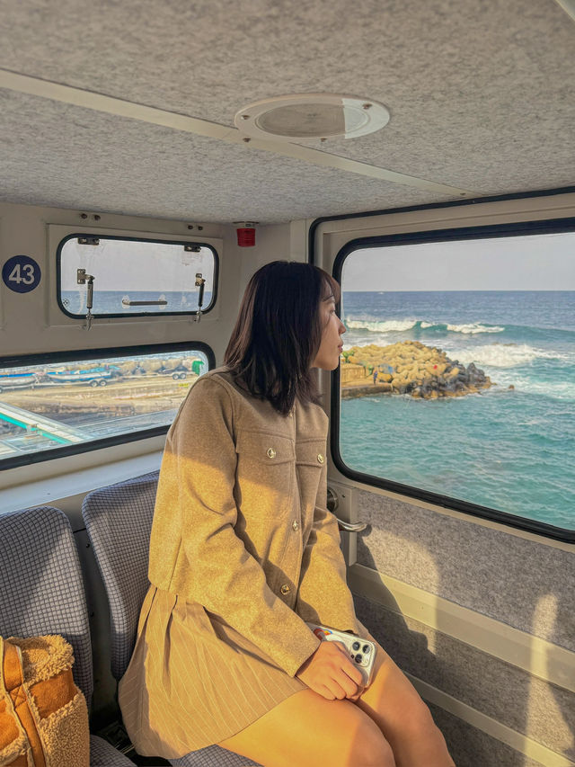 한국의 또다른 나폴리, 울진 죽변에서 스카이레일 타보기🇰🇷