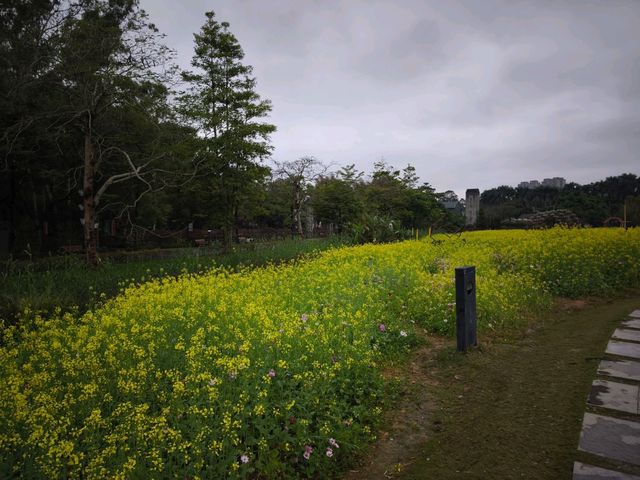 花海