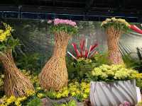 台南後壁-亞太蘭花會議暨台灣國際蘭展 Orchid Show 