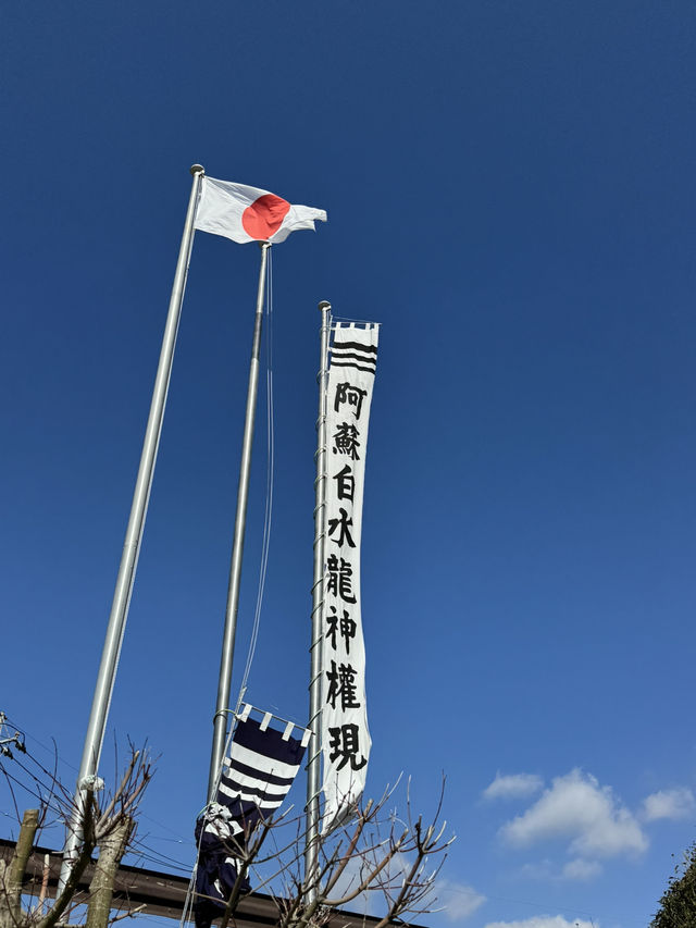 【熊本旅行】金運祈願🙏白蛇様参拝ができる神社⛩
