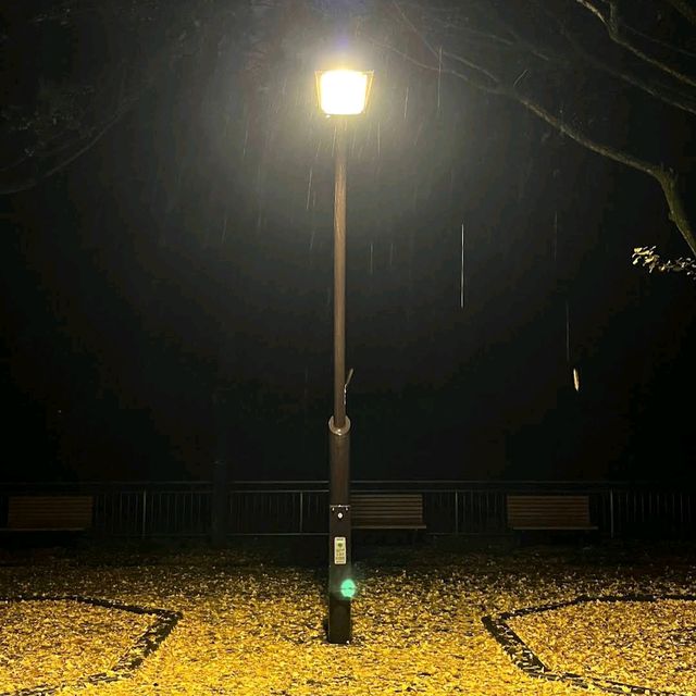 Hikarigaoka Park (光が丘公園)