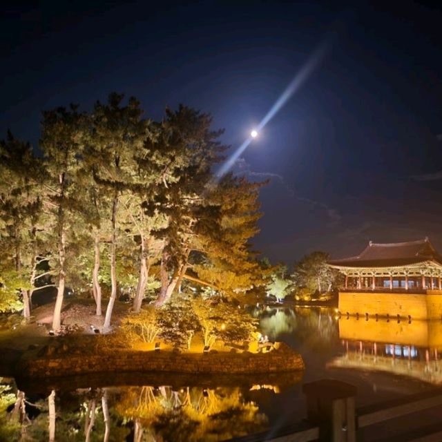 봄맞이 경주 여행지 추천