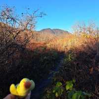 Jirisan National Park