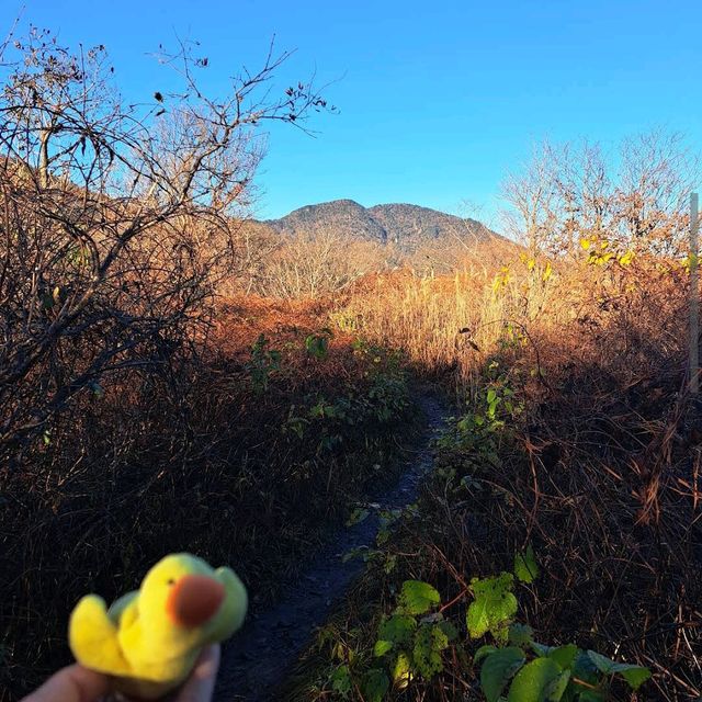 Jirisan National Park