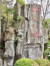 深圳南頭古城與中山公園：歷史與自然的完美結合 🏯🌳