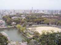 名古屋天守閣賞櫻美景